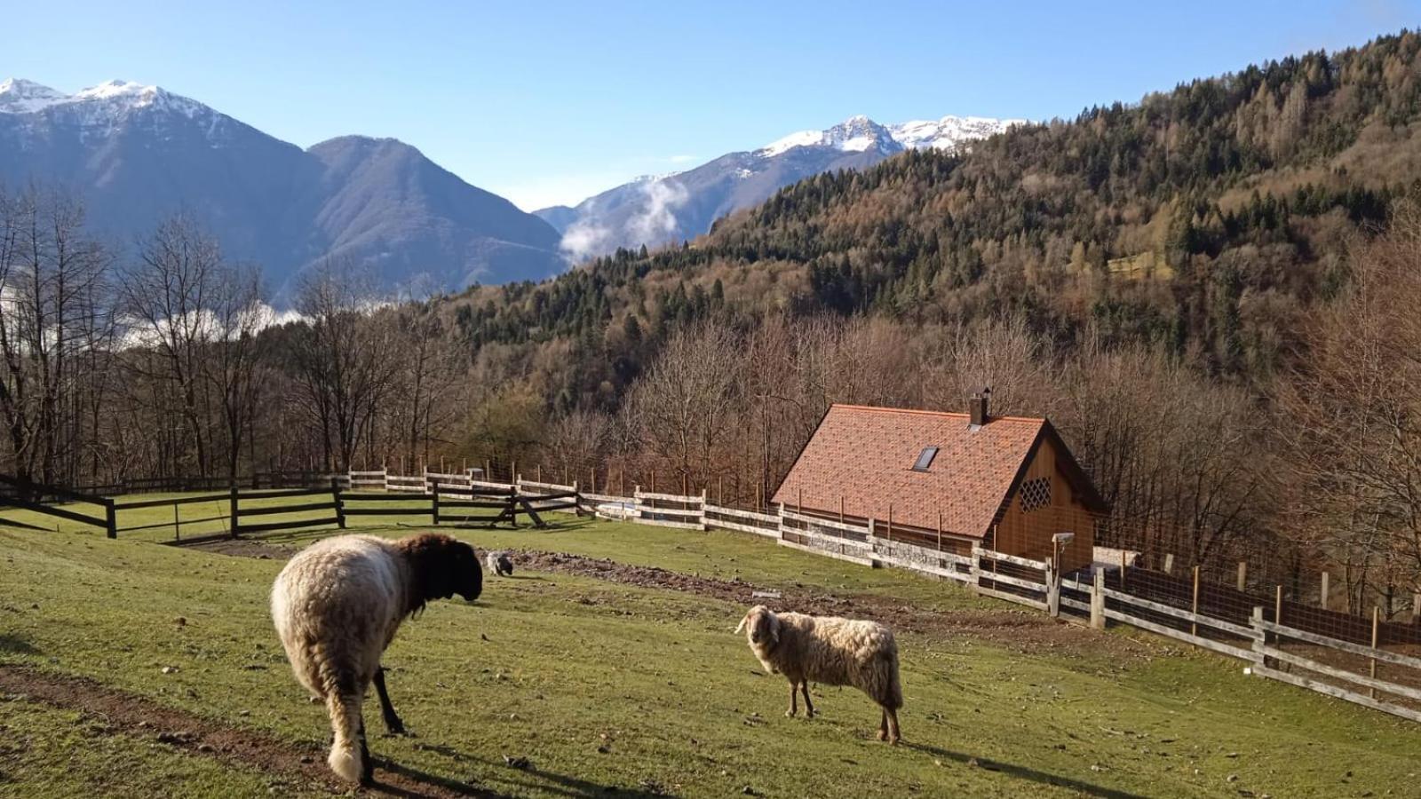 Chalet Navauce Raveo Luaran gambar